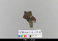 中國北京皮影藏品圖，第2張